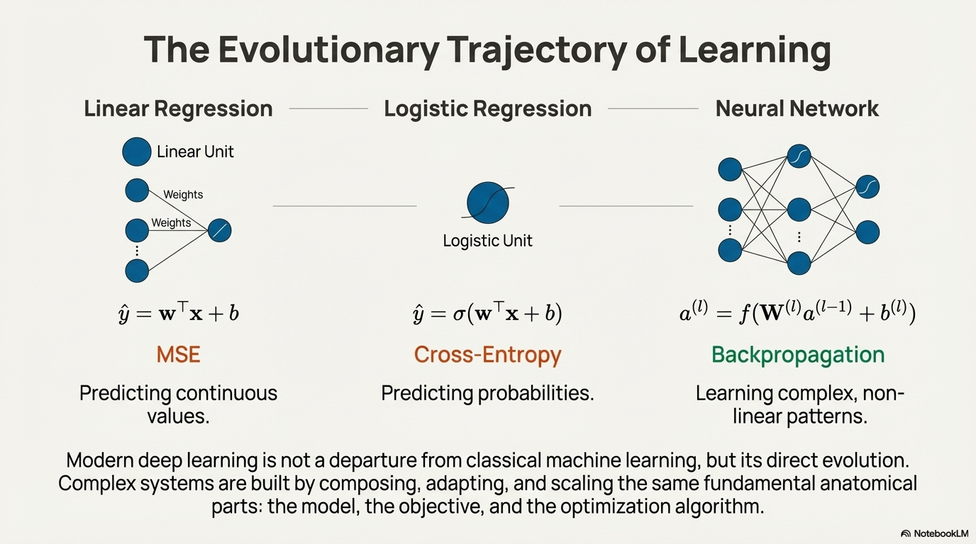 Neuron diagram